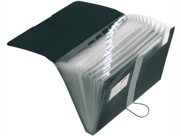 Папка-органайзер А4 Easy Orga с 12 отделениями HERLITZ