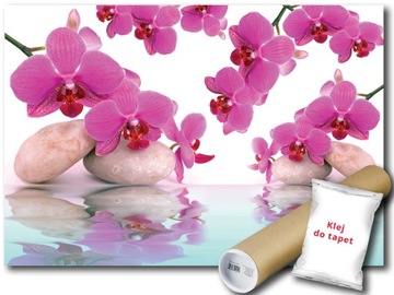 FOTOTAPETA ORCHIDEE KAMIENIE 9D V8 368x254 F151