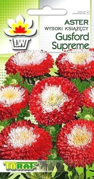 Aster High Pompone Gusord Supreme 1 Gree of Seeds