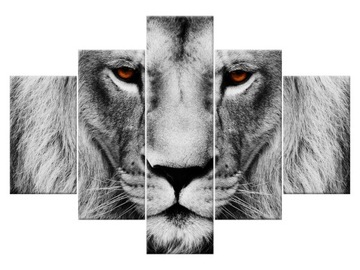 Image animals lion glance 100x70 lion king, фото