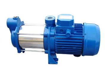 Pump hydrophoric rs 80 speroni q= 180 h= 100, фото
