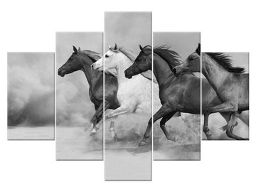 Image stado в burzy sandy 150x105 horse 2065a_ 5h, фото