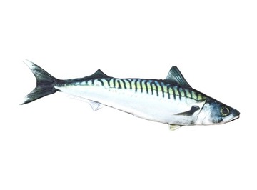 Mascot cushion gaby mackerel 60 centimeters, фото