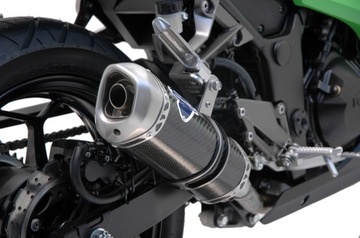 Shock absorber issue termignoni | kawasaki ninja 300r, фото