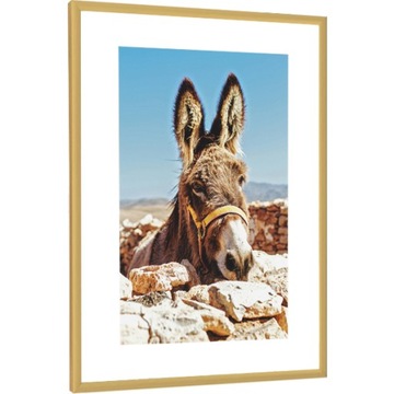 Frame on bumper gold frame aluminum 30x40, фото