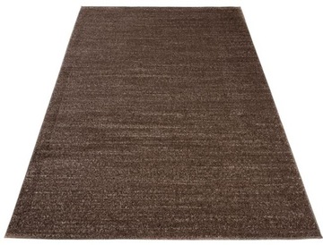 Carpet fresh 220x320 modern scandinavian t6br, фото