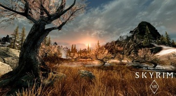 Skyrim VR PS4 Новый (KW)