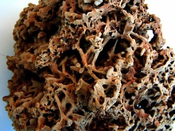 WAPIEN CZERWONY KAMIEN DO AKWARIUM MALAWI SELEKCJA