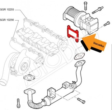 4 Uszczelka EGR ALFA FIAT LANCIA OPEL 1.9 2.4 JTDM