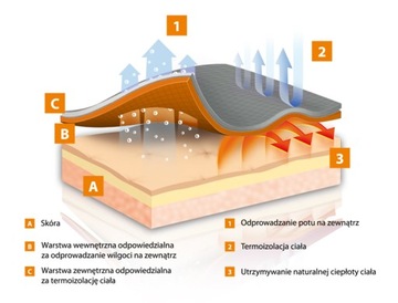 Brubeck Толстовка женская THERMO кобальт синий L