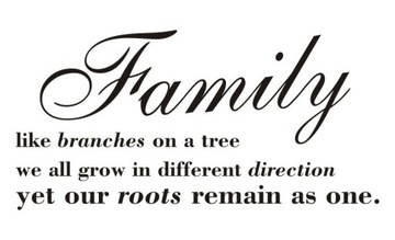 Napis na ścianę naklejka rodzina Family like.. 51