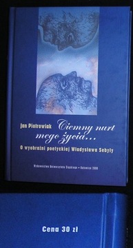 ТЕМНОЕ ПОТОК МОЕЙ ЖИЗНИ ВЛАДИСЛАВ СЕБЯЛА КВАДРЫГА