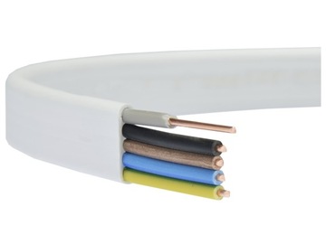 PRZEWÓD PŁASKI YDYP 5x2,5 DRUT 5x2,5 NA METRY