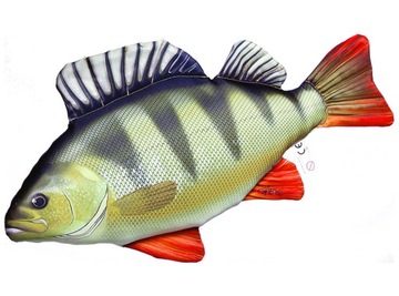 Okoń (perca fluviatilis) poduszka maskotka 50 cm