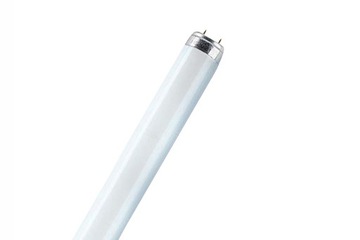 Philips Świetlówka G13 36W master mięsna 011082 100cm !!!!!!!!