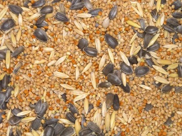 Karma papuga falista, karma podstawowa 1kg