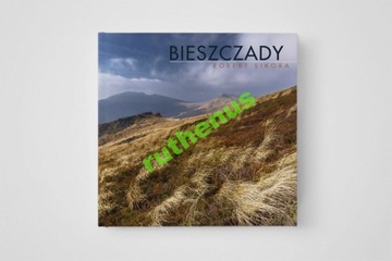 BIESZCZADY отличный альбом Роберта Сикоры