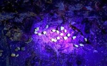 ФОНАРЬ КОНДИЦИОНЕР КРОВЬЯ ЯНТАРНЫЙ УЛЬТРАФИОЛЕТ УФ