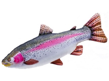 Pstrąg tęczowy (oncorhynchus mykiss) 62 cm