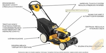 Бензиновая газонокосилка Cub Cadet LM3 DR53S 4in1 MYSPEED с корзиной МОЩНАЯ