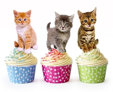 Opłatek GRUBY BABECZKI MUFFINKI KOTY KOT KOTKI