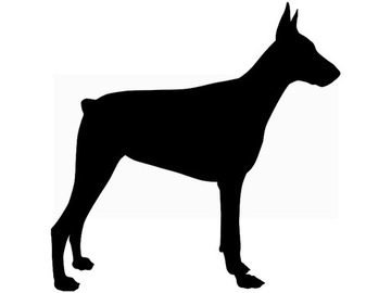 Naklejka na auto samochód PIES piesek z psem Doberman 14 cm