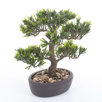 искусственное дерево BONSAI Podocarpus 32 см, деревья