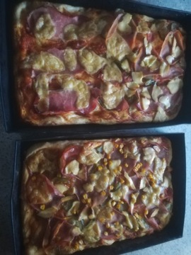 ПИЦЦА ХЛЕБ ПЕЧЬ ОТ ROMA WOOD