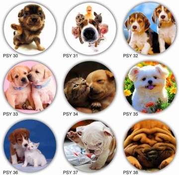 Топперы для торта DOGS & DOGS, диаметр 20 см, плотные, яркие цвета