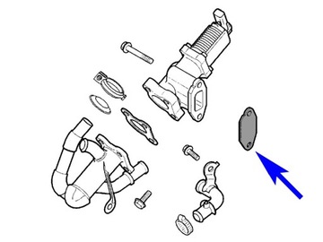 Zaślepka EGR Opel Fiat Alfa Lancia 1.3 JTD CDTI