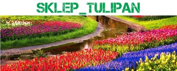 ŻURAWKA BLACK PEARL SKLEP_TULIPAN.