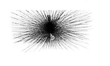 szczotka kominiarska komina wycior 140x260mm drut
