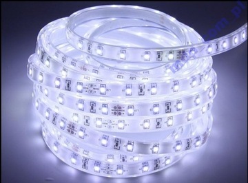Taśma LED 5m/300 diod zimno biała IP33 SOSNOWIEC