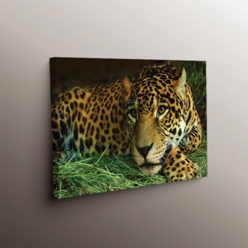 Холст картины 50x70 узор цветы