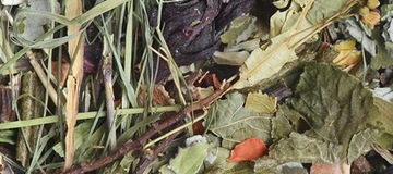 Natural-Vit Korona Natury для морских свинок 750г