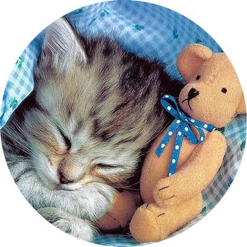 ВОЛНЫ для торта КОТЫ, диаметр 20 см, плотные, насыщенные цвета.
