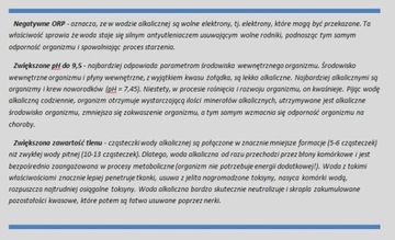 Фильтр-кувшин WellBlue АЛКАИЧНАЯ ВОДА АКЦИЯ