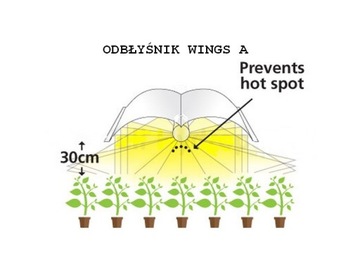 ЦИФРОВАЯ СИСТЕМА WINGS A 120X50 HPS 1000W TOPHORT