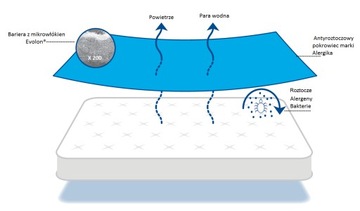 Матрас с чехлом против клещей 80х200х(14Х16) Evolon ORIGINAL ALLERGIC
