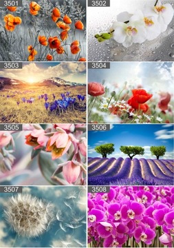 Плакат ОДУВШИНКИ 40х30 максимальная подборка