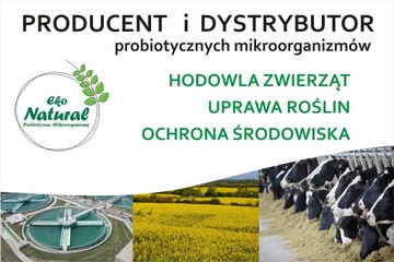 PROBIOTYK DLA GOŁĘBI 1L MIKROORGANIZMY