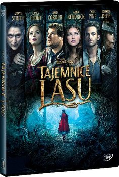 DVD TAJEMNICE LASU DISNEY Meryl Streep JOHNNY Deep