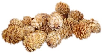 SZYSZKA MODRZEWIOWA SZYSZKI MODRZEW NATURALNA 4SZT