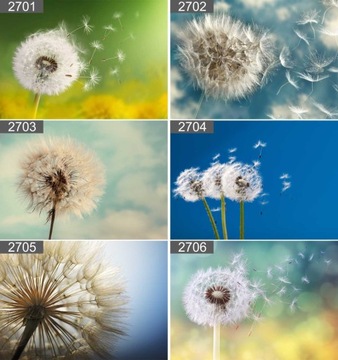 Плакат ОДУВШИНКИ 40х30 максимальная подборка