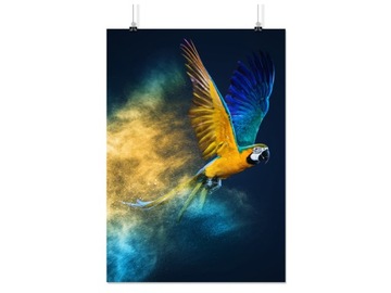 PLAKAT PAPUGA PTAK PTAKI 90x60 CM 9 WZORÓW MATOWY