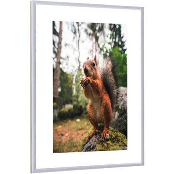 RAMKA A4 aluminiowa srebrna na dyplom RAMKI na zdjęcia 21x30 cm