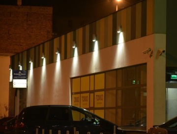 Lampa oprawa kinkiet natynkowa LED elewacyjna WALY E2C IP65