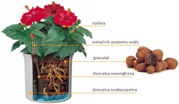 фото ориг. №4, Hydroponics indicator h7 hobby