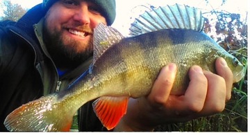 2x Воблер PERCH PIKE ZANDER COM Воблеры 9,5 см.