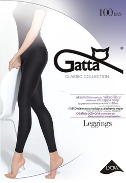 Gatta LEGGINSY mikrofibra Leggings 100den 2-S